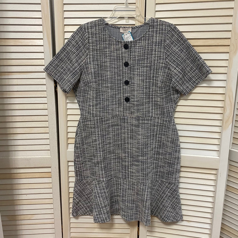 Size L LOFT Dress